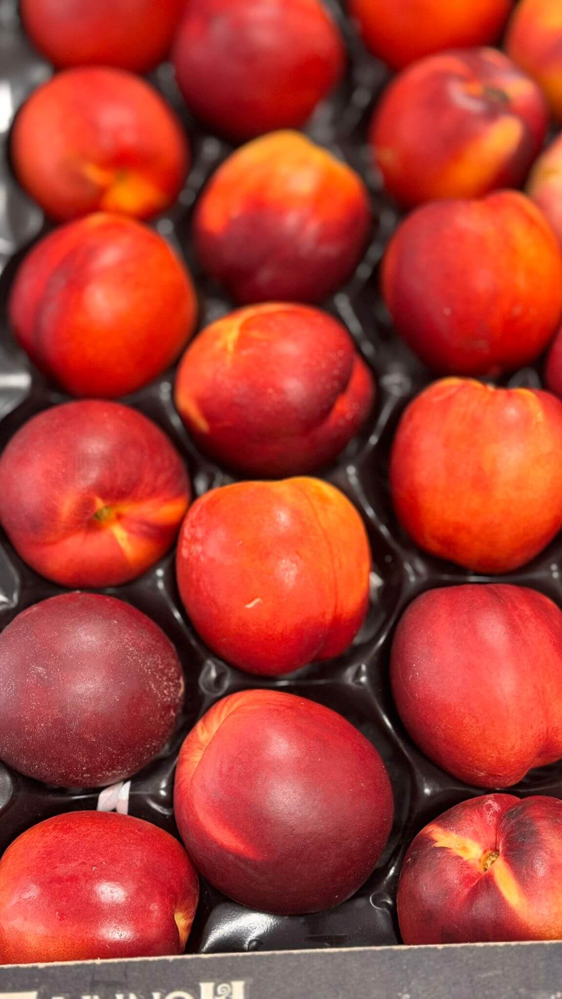 VitaminKorbBottrop10
