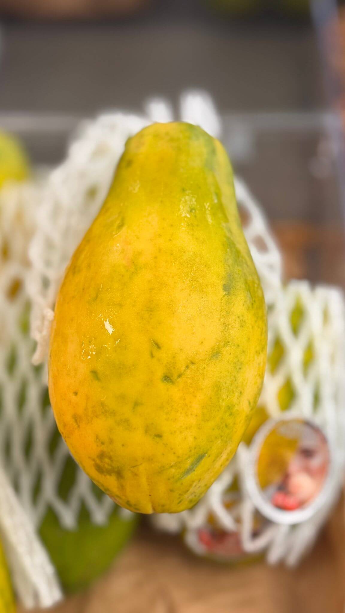 VitaminKorbBottrop17