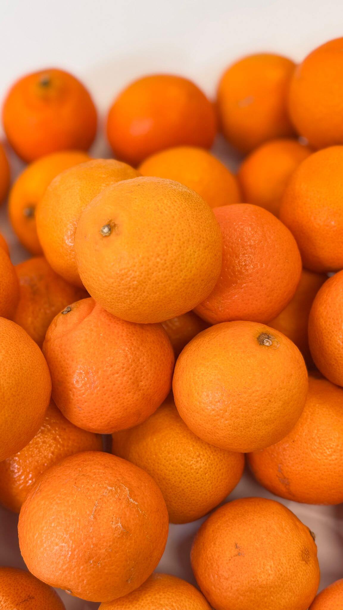 VitaminKorbBottrop2