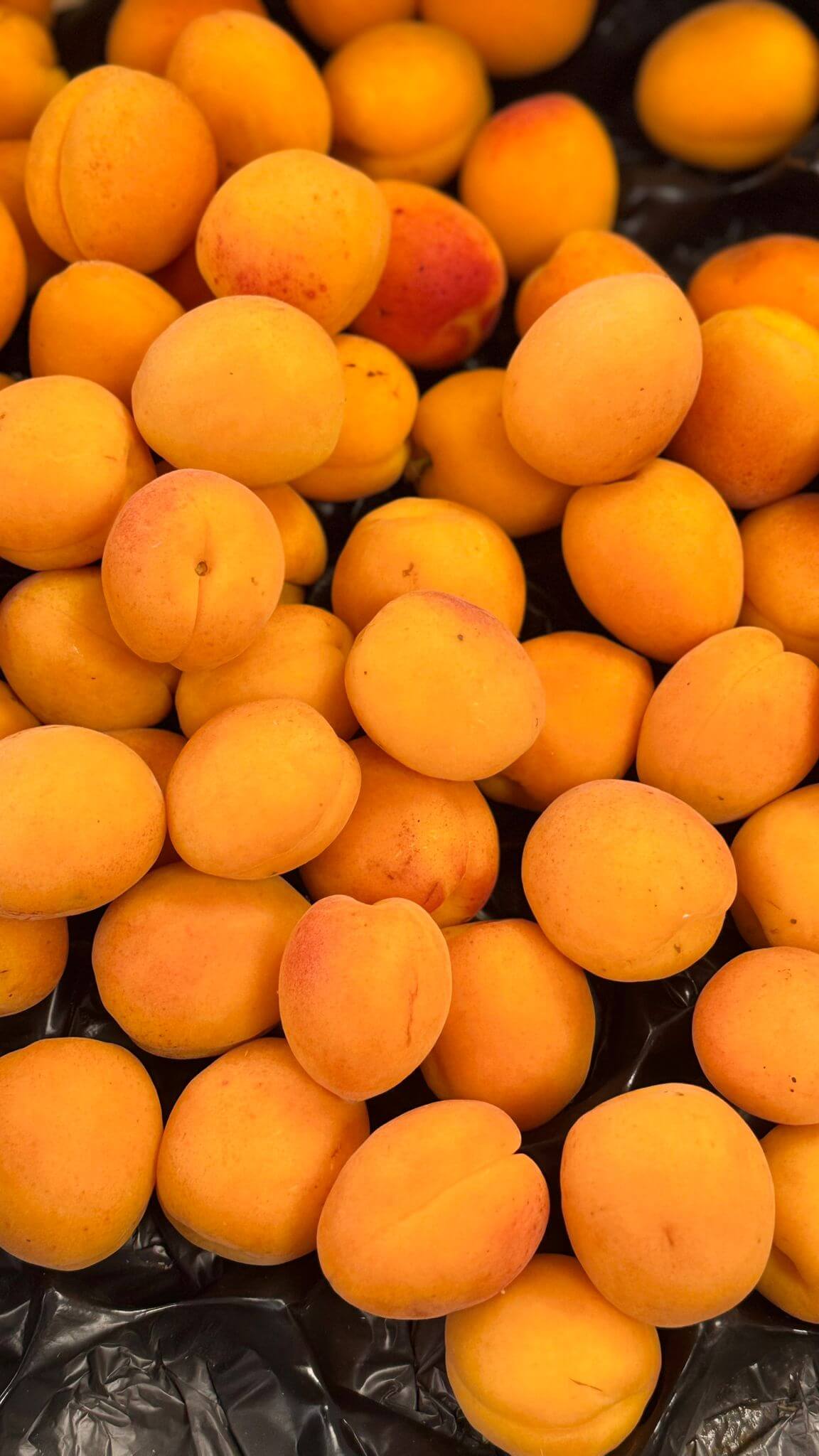 VitaminKorbBottrop20