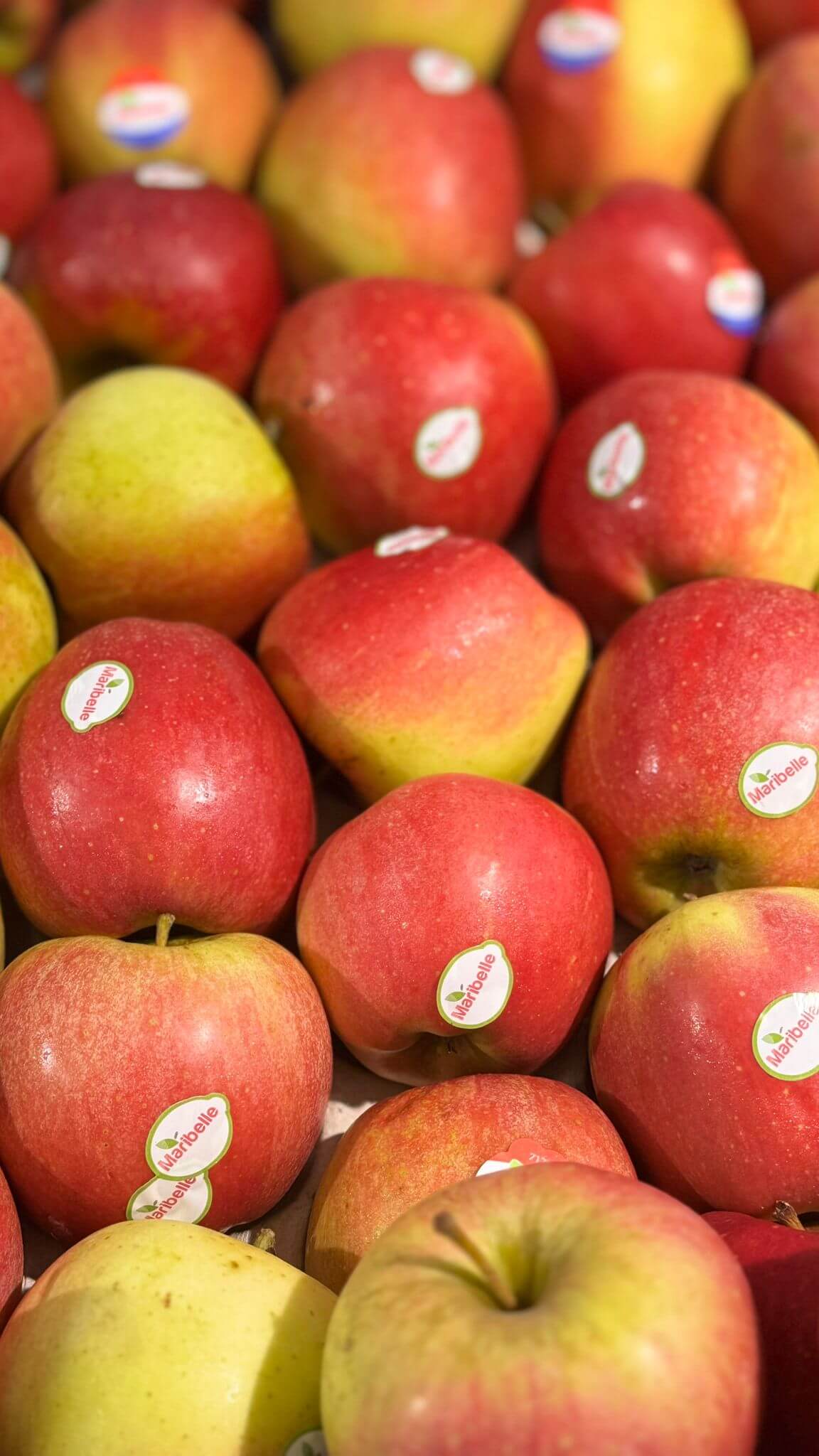 VitaminKorbBottrop3