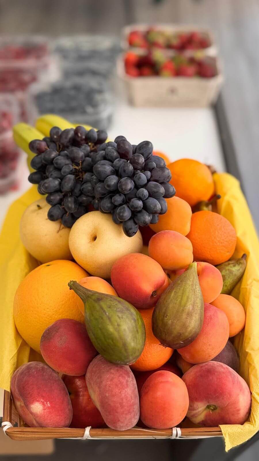 VitaminKorbBottrop36
