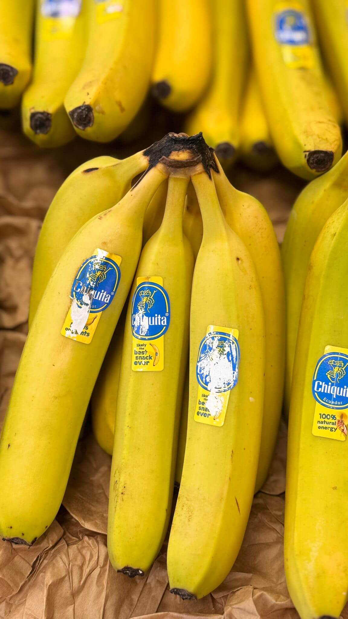 VitaminKorbBottrop4