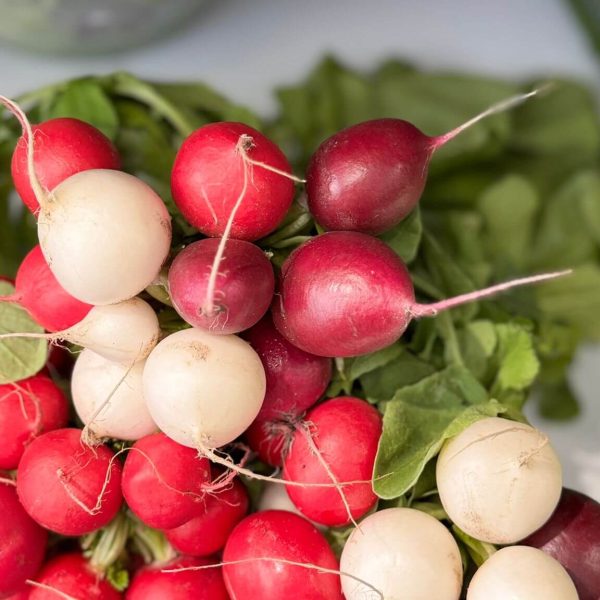 VitaminKorbBottrop21